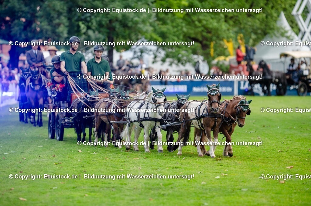 20250606_Lange-Pferdenacht_0169 | Foto: Thomas Hartig