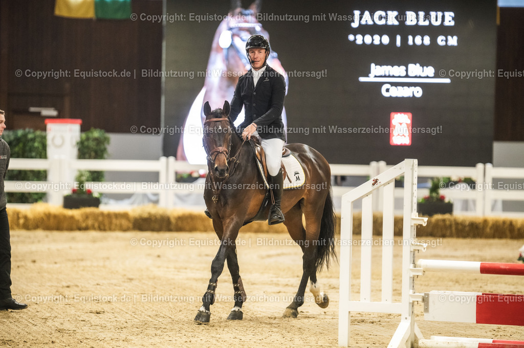 20240302_Hengstvorstellung_Marbach_TOMsPiC_0214 | equistock
