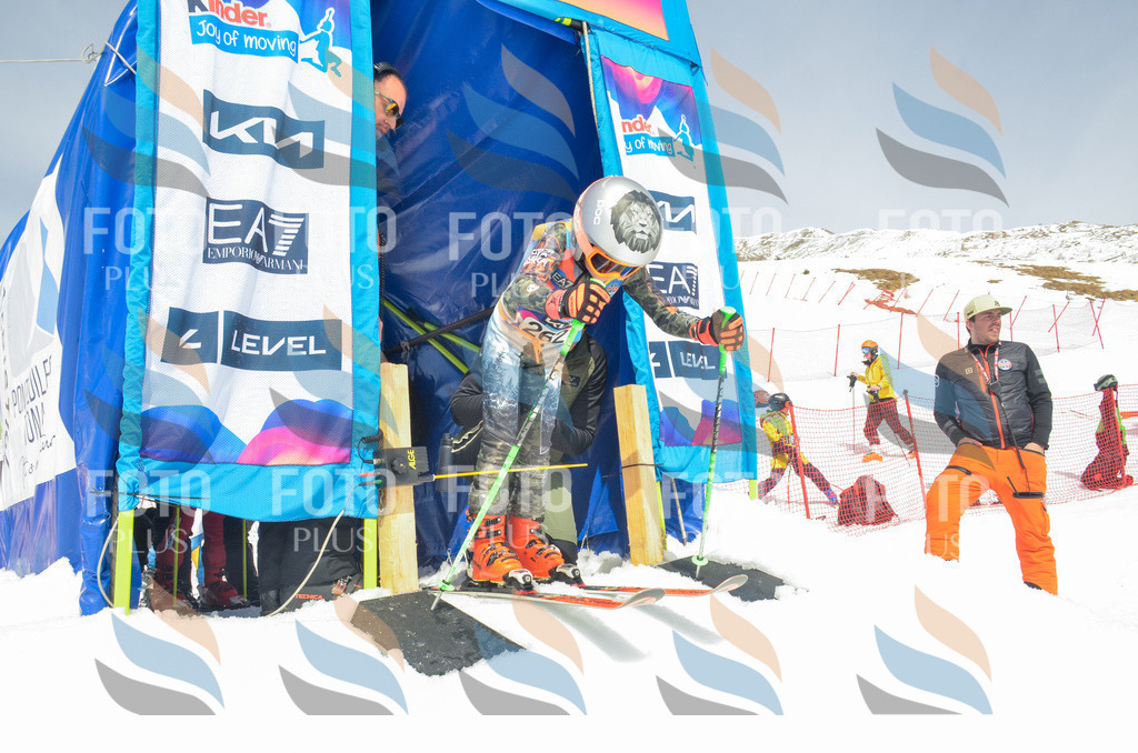 _ELE7678 | holidayphoto