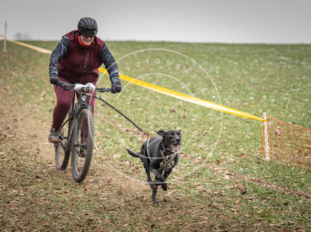 Pfotenfotografie_DV3A2915 | Hundefotografie, Tierfotograf, Pfotenfotografie, Fotoshooting Hund, Hunde Portrait, Hundesport, Hundeportraits, Heideshooting, Hunde, Sportfotograf, Hundefotograf, Turnierhundsport, THS,  - Realisiert mit Pictrs.com