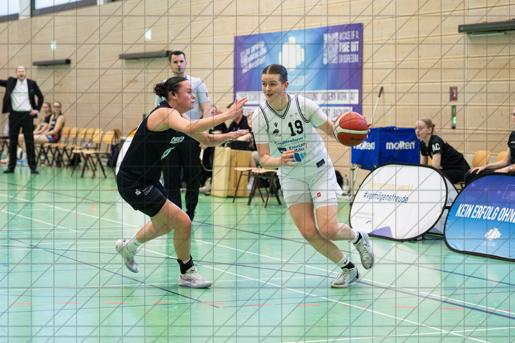 2. DBBL Nord 24/25 | 09.03.2025 | BBC OS vs. ChemCats Chemnitz | 2. DBBL Nord 24/25 | 09.03.2025 | BBC OS vs. ChemCats Chemnitz - - - - - CREDIT, www.bullenfotos.de, Martin König, Hörner Weg 40, D-49078 Osnabrück, +4917663732967, Nutzung und Weitergabe nur zu den vereinbarten Zwecken. Presseanfragen an Urheber. Alle Rechte beim Urheber. - - - - - - Realisiert mit Pictrs.com