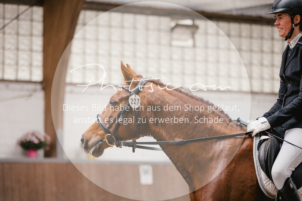 3I6A6716 | Stimmungsvolle Portraits und Reitsportfotografie im Ruhrgebiet und im Münsterland.

Pferdefotografie, Hundefotografie, Tierfotografie, Reportagen, Portraits von Tier und Mensch, Turnierfotografie in Bochum, Recklinghausen, Marl, Haltern am See, Dülmen.. - Realisiert mit Pictrs.com