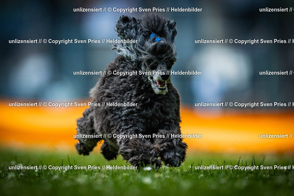 Sven Pries | 2025-05-29 - Pudelrennen KA-Durlach - Realisiert mit Pictrs.com