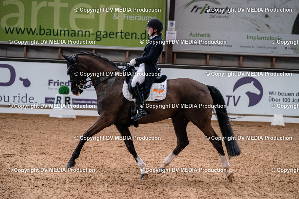 Kranichstein Tag 1-498 | dv-media-shop - Realisiert mit Pictrs.com