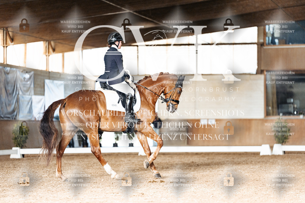 CK903163 | Turnierfotografie Pferdefotografie Trier Rheinland-Pfalz Pferdesport Reitsport Tierfotografie Sportfotografie Pferdevideo Pferdevideografie Equestrianvideography equestrianphotography  - Realisiert mit Pictrs.com
