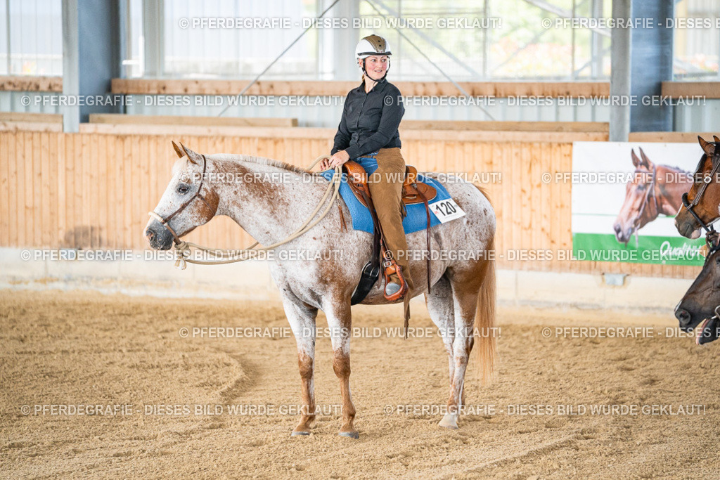 DSC02864 | Pferdegrafie