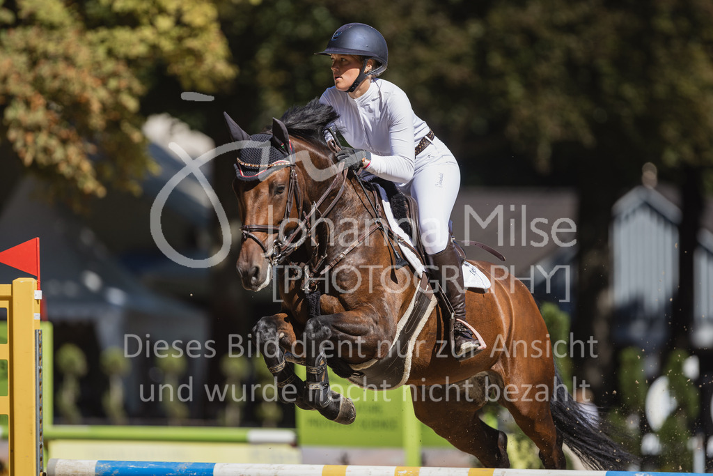 230909_OWLCh_Amateur-S-715 | Deine schönsten Turniermomente als professionelle Fotos! Entdecke hochwertige Pferdesport-Fotografie im Online-Shop. Jetzt Fotos finden & bestellen!