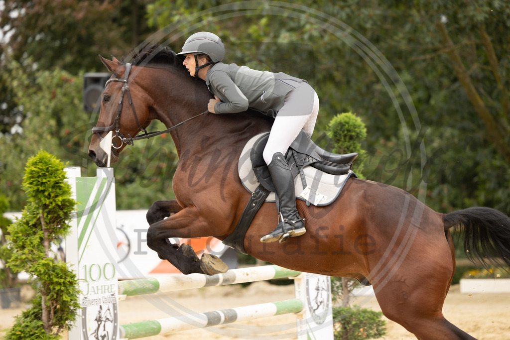 994A9005 | sabrinanicolaifotografie - Realisiert mit Pictrs.com