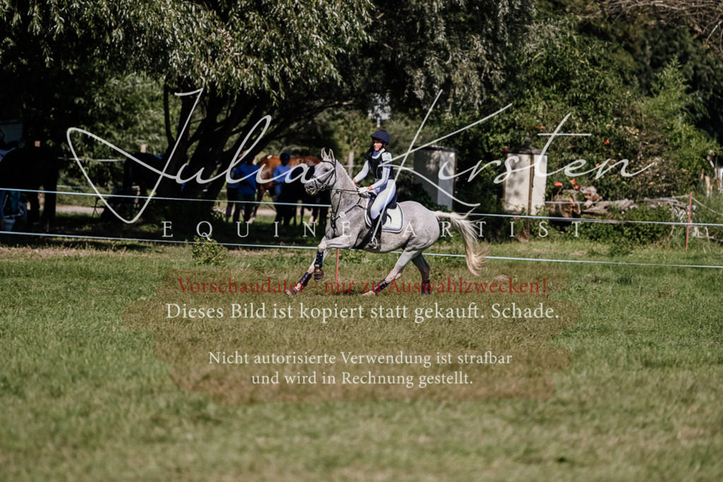 DSC_3020 | Pferde- und Turnierfotografie in Westsachsen. Pferdeportraits, Auftragszeichnungen und intuitive Kunst.