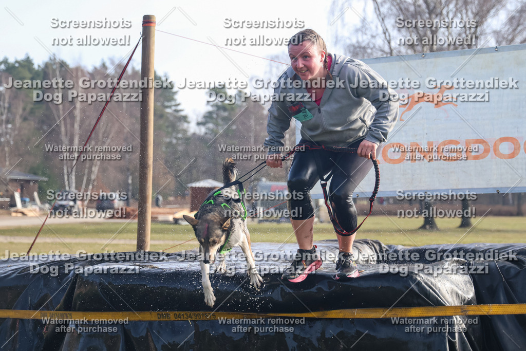 Dog Paparazzi - Strongdog North Mrz26-392 | Dog Paparazzi Jeanette Grottendiek Fotografie & Videografie - Realisiert mit Pictrs.com