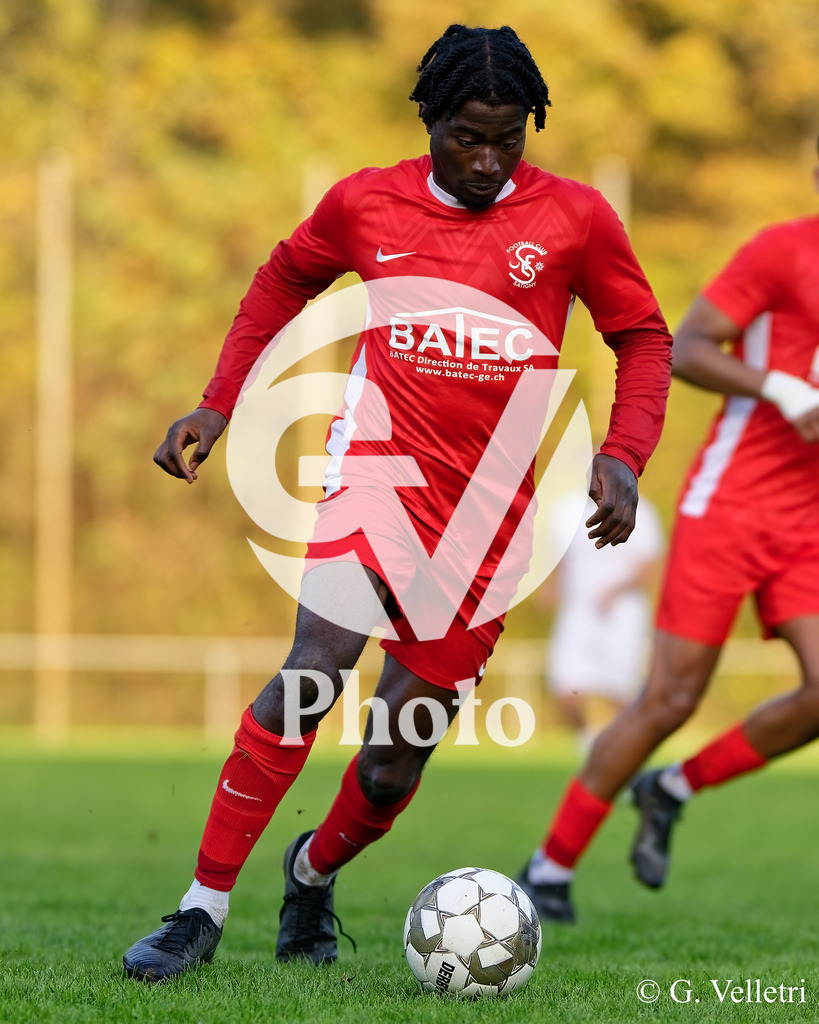 DZ8_9402 | Velletri Photo