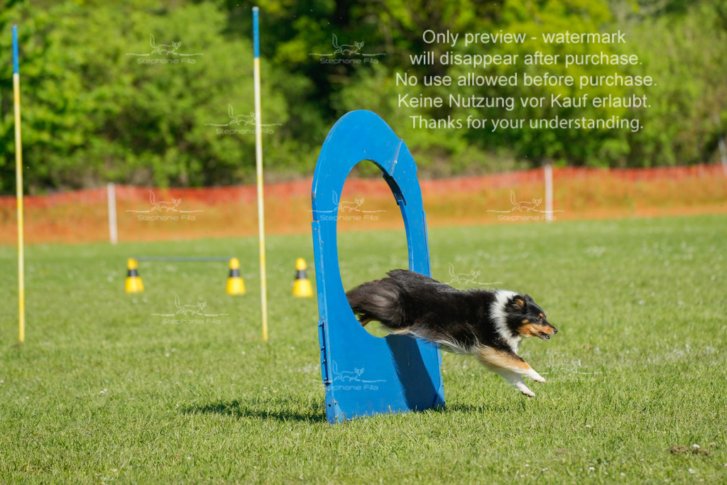 Sa_CSC-251 | stephaniefillaphotographie - Realisiert mit Pictrs.com