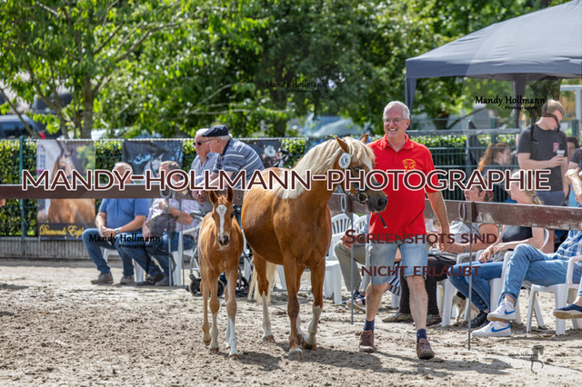 _MG_9177 | mandyhollmannphotographie