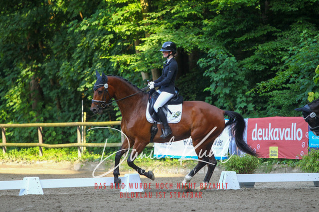 DKP43128 | Turniersportfotografie; Pferdefotografie; Dressurfotografie