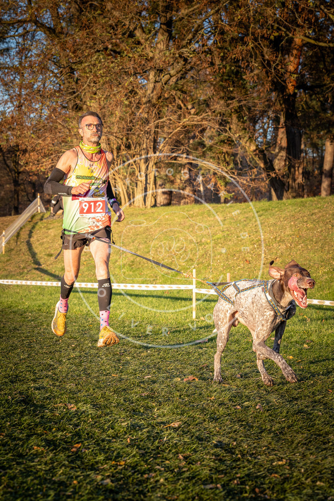 CaniXpix_0L8A1473 | Hundefotografie, Tierfotograf, Pfotenfotografie, Fotoshooting Hund, Hunde Portrait, Hundesport, Hundeportraits, Heideshooting, Hunde, Sportfotograf, Hundefotograf, Turnierhundsport, THS,  - Realisiert mit Pictrs.com