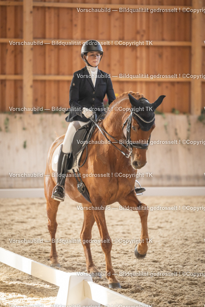 _D5A3197 | Emotionale Pferde- & People-Fotografie rund um Heidelberg, Leimen & Umgebung. Natürliche Fotos von Pferd, Mensch & Familie. Jetzt Termin sichern!