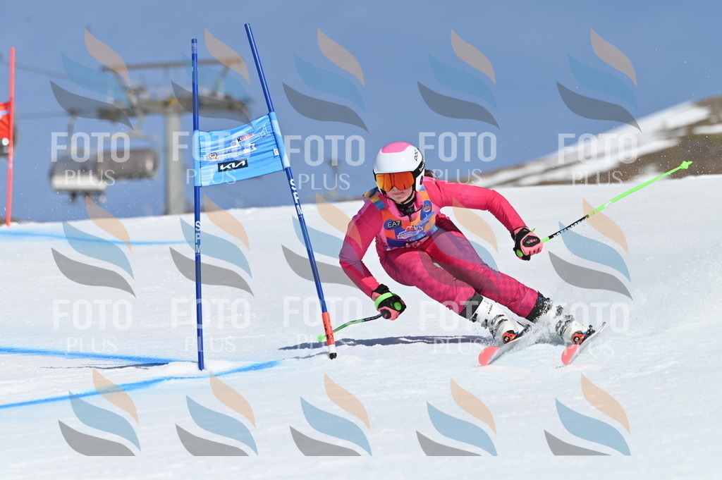 BGV_8722 | holidayphoto