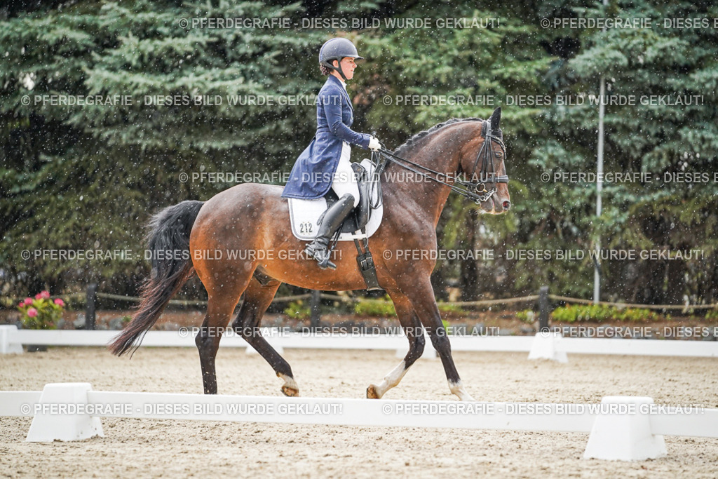 DSC08010 | Pferdegrafie