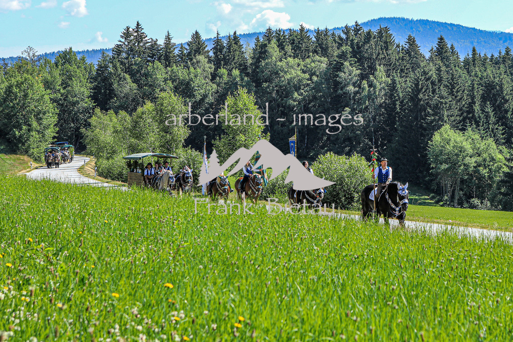 OE7A5517 | Seit Jahrzehnten gibt es diese eindrucksvolle Pferdeveranstaltung der Pferdefreunde Rinchnach. Der Ursprung, bei der Gedächtnisfahrt an bereits verstorbene Pferdefreunde zu erinnern ist bis heute geblieben.