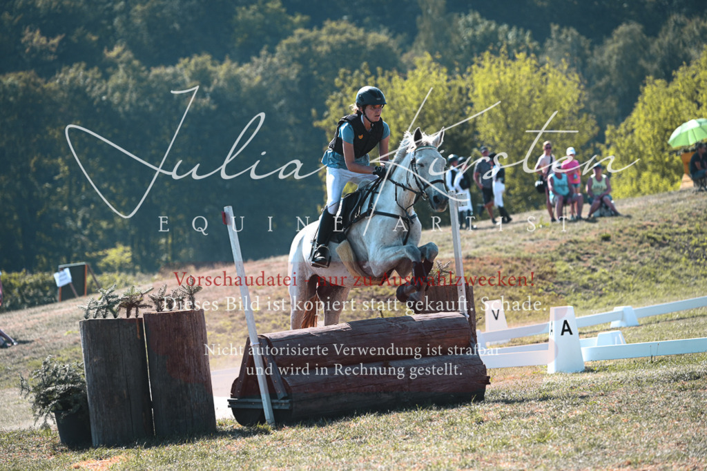 DSC_7960 | Pferde- und Turnierfotografie in Westsachsen. Pferdeportraits, Auftragszeichnungen und intuitive Kunst.