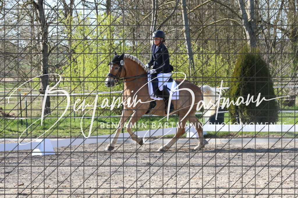 AZ2A5097 | Benjamin Bartmann Photomoments