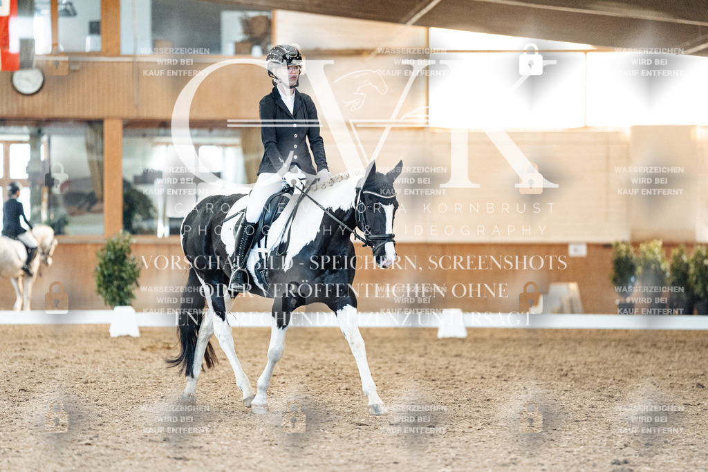 CK907609 | Turnierfotografie Pferdefotografie Trier Rheinland-Pfalz Pferdesport Reitsport Tierfotografie Sportfotografie Pferdevideo Pferdevideografie Equestrianvideography equestrianphotography  - Realisiert mit Pictrs.com