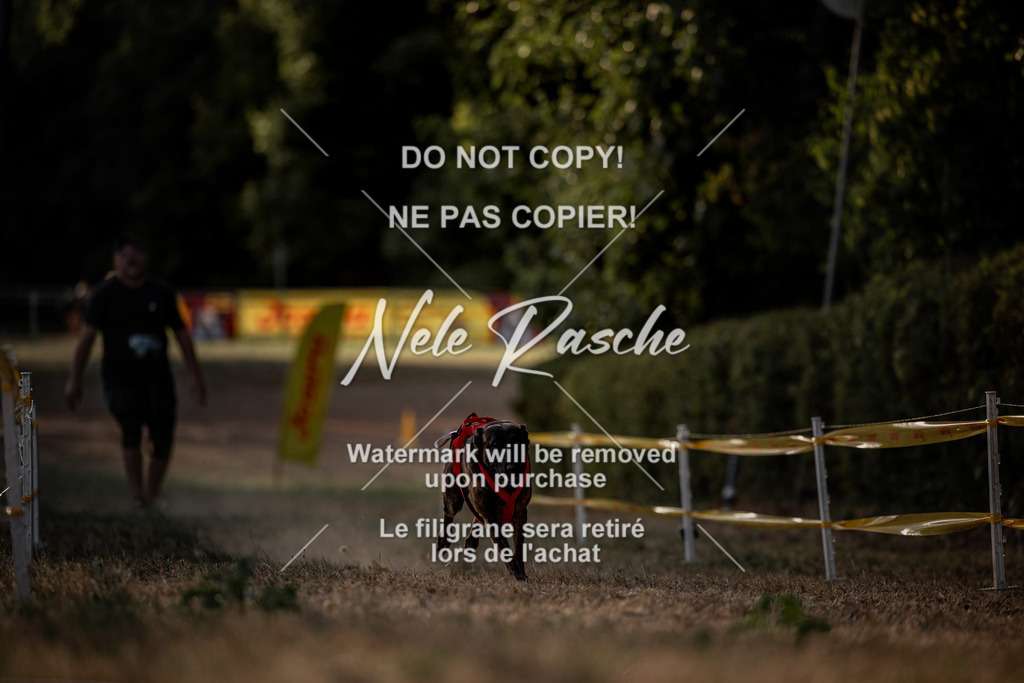 nelerasche_SummerNights26_SoPawSprint_104 | nelerasche