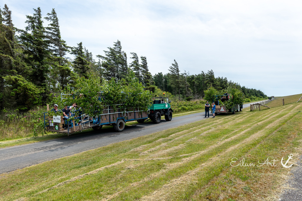 EAF_0861 | Eilun-Art-Fotografie Levke Martens, ihre Fotografin für Immobilien- und Landschaftsfotografie auf Föhr, Föhrer Motive als Poster, Leinwand, hinter Acrylglas oder stelle dir deinen eigenen Monatskalender zusammen, mit nur einem Klick