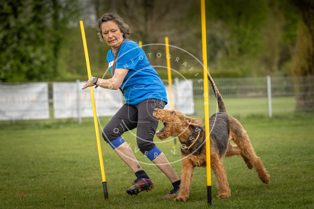 Pfotenfotografie_DV3A7561 | Hundefotografie, Tierfotograf, Pfotenfotografie, Fotoshooting Hund, Hunde Portrait, Hundesport, Hundeportraits, Heideshooting, Hunde, Sportfotograf, Hundefotograf, Turnierhundsport, THS,  - Realisiert mit Pictrs.com