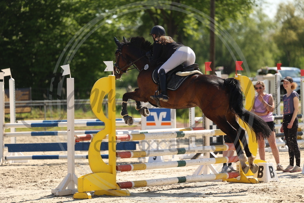 994A5638 | sabrinanicolaifotografie - Realisiert mit Pictrs.com