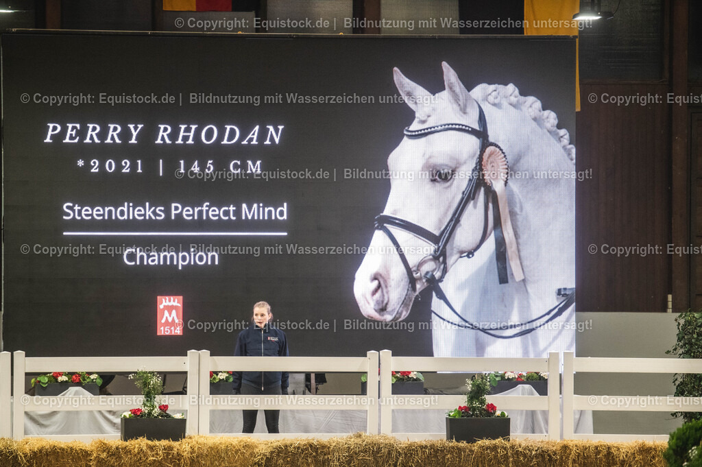 20240302_Hengstvorstellung_Marbach_TOMsPiC_0796 | equistock