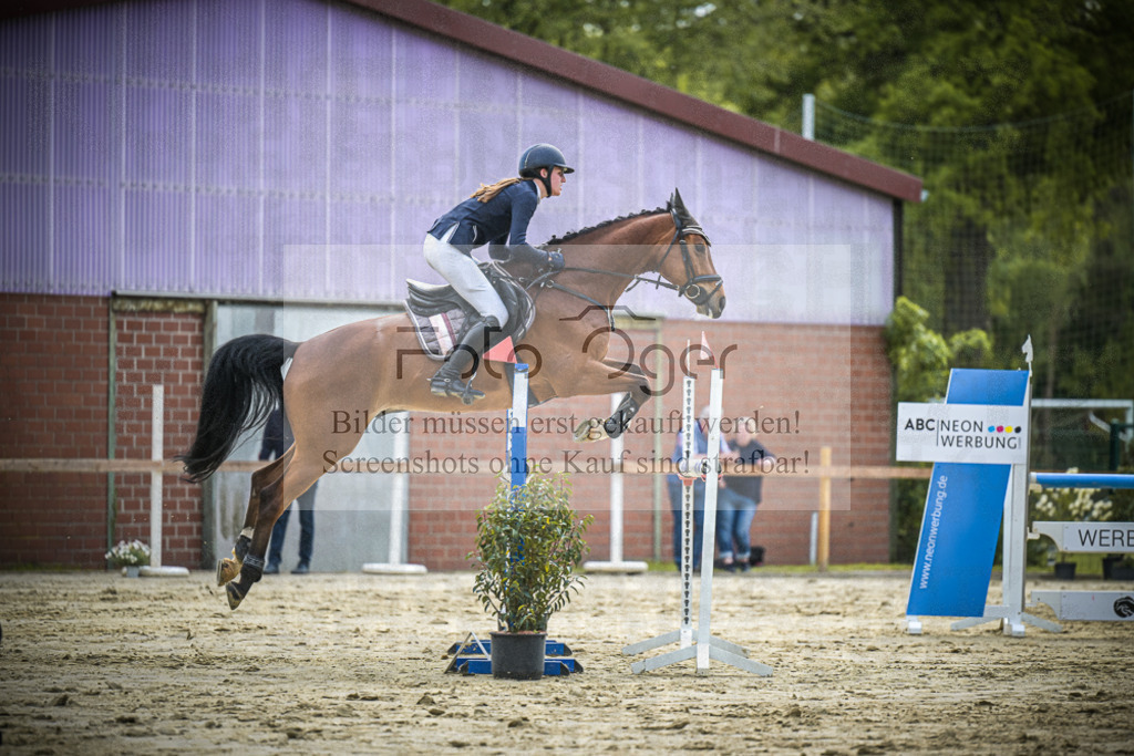 DOS_1840 | Entdecke hochwertige Reitturnierfotos von Foto Oger. Professionell, emotional und authentisch – jetzt Lieblingsmomente im Shop bestellen.Deutschlandweite Turnierfotografie. - Realisiert mit Pictrs.com