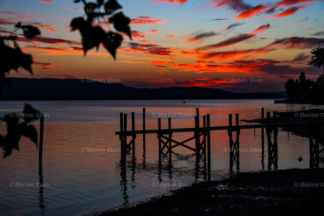 01. September 2022- Bodensee - 1Z9A1439 | Meine Leidenschaft ist die Fotografie.

Der eine Augenblick, 
der eine Moment, 
festgehalten für die Ewigkeit. 
