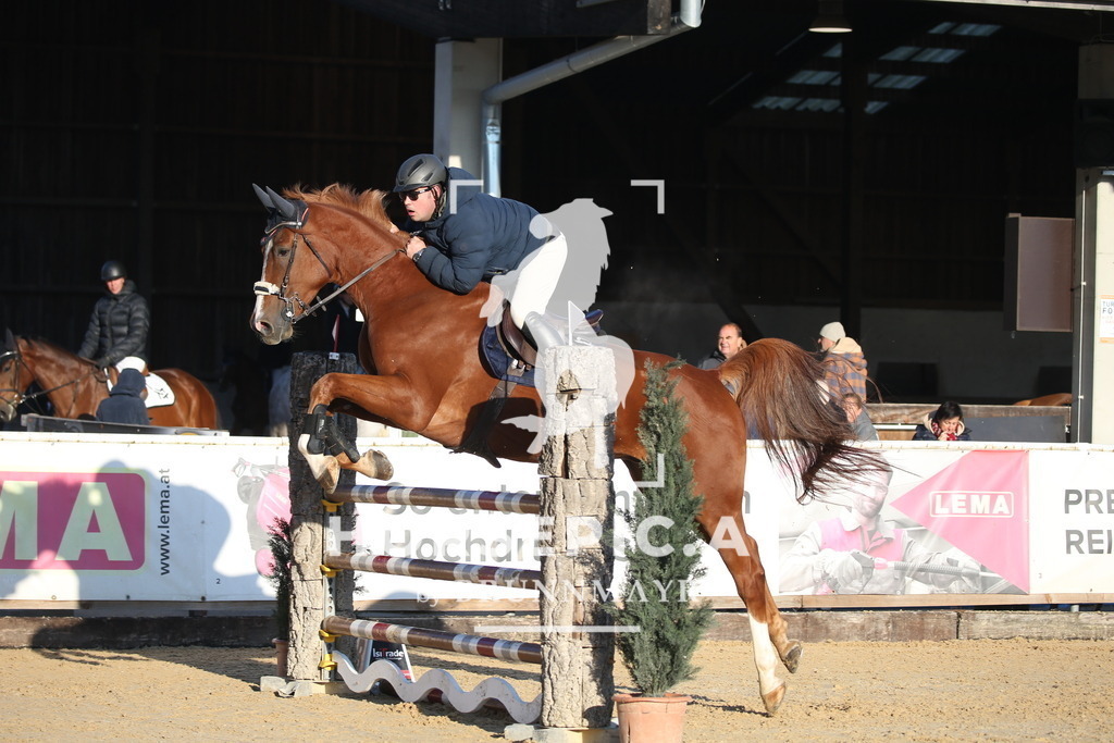 DL2Q0626 | Willkommen bei Brunnmayr - Design & Fotografie – Ihrem Spezialisten für Reitturniere und Pferdeveranstaltungen in Oberösterreich, Salzburg und Bayern! Seit über 17 Jahren sind wir leidenschaftlich dabei.