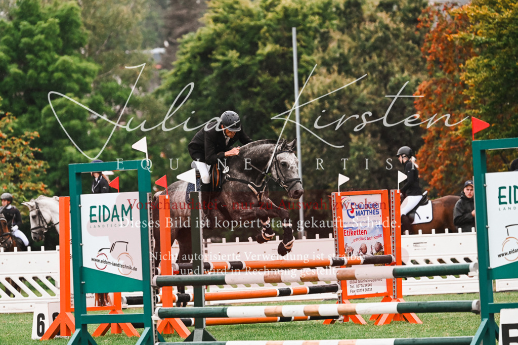 DSC_6550 | Pferde- und Turnierfotografie in Westsachsen. Pferdeportraits, Auftragszeichnungen und intuitive Kunst.