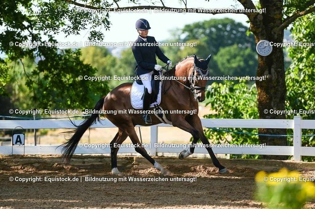 20230715_06_Dressurpferdeprfg. Kl.A_0207 | equistock