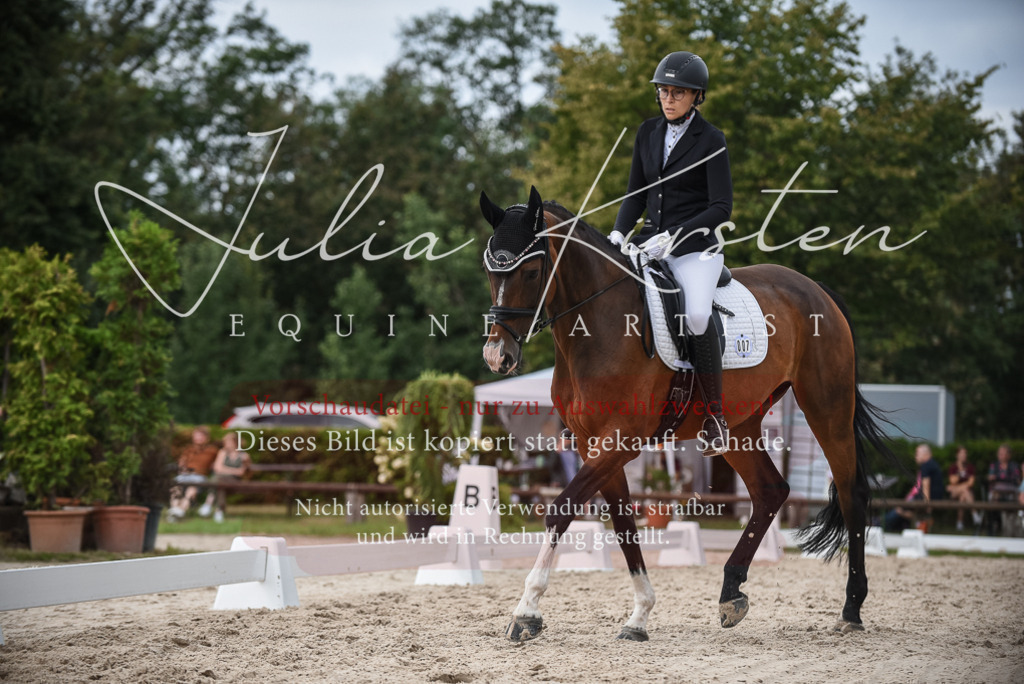 DSC_8535 | Pferde- und Turnierfotografie in Westsachsen. Pferdeportraits, Auftragszeichnungen und intuitive Kunst.