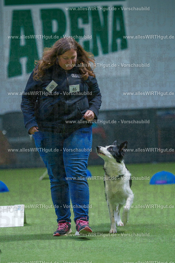 7R501387 | Professionelle Tierfotografie in Mönchengladbach von Daniel Wirth (allesWIRTHgut). Liebevolle & natürliche Bilder von Hunden & Katzen für unvergessliche Erinnerungen.