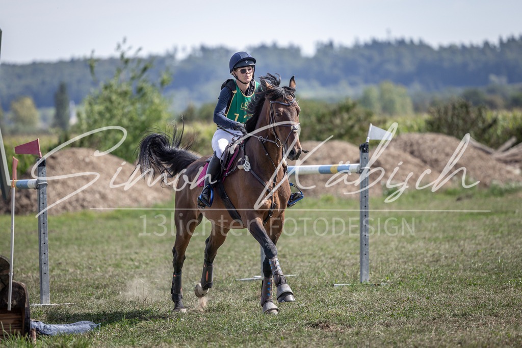 20250907-_3LI1406 | Tierfotografie Pferde, Hunde, Katzen, Haustiere.
Turnierfotografie Reitturniere, Reiten, Springreiten, Dressur in Hanau, dem Main-Kinzig-Kreis und dem Rhein-Main- Gebiet um Frankfurt