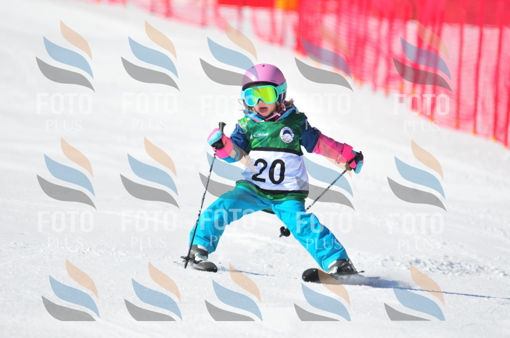 C2513 | holidayphoto