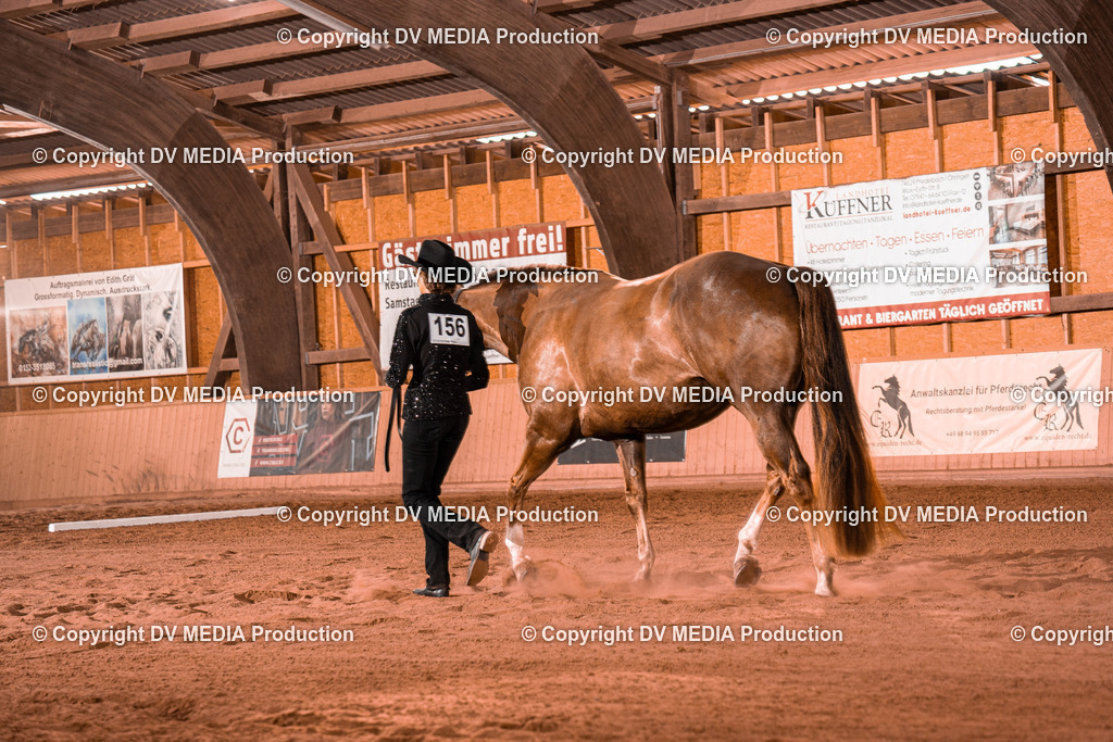 NE100113 | dv-media-shop - Realisiert mit Pictrs.com