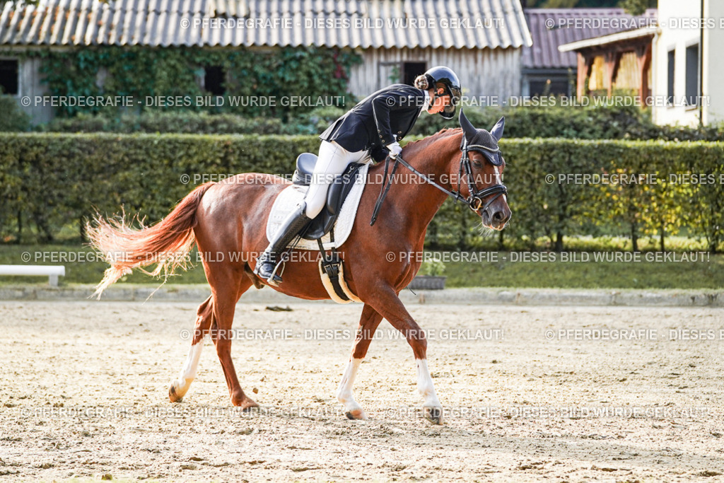 DSC04713 | Pferdegrafie