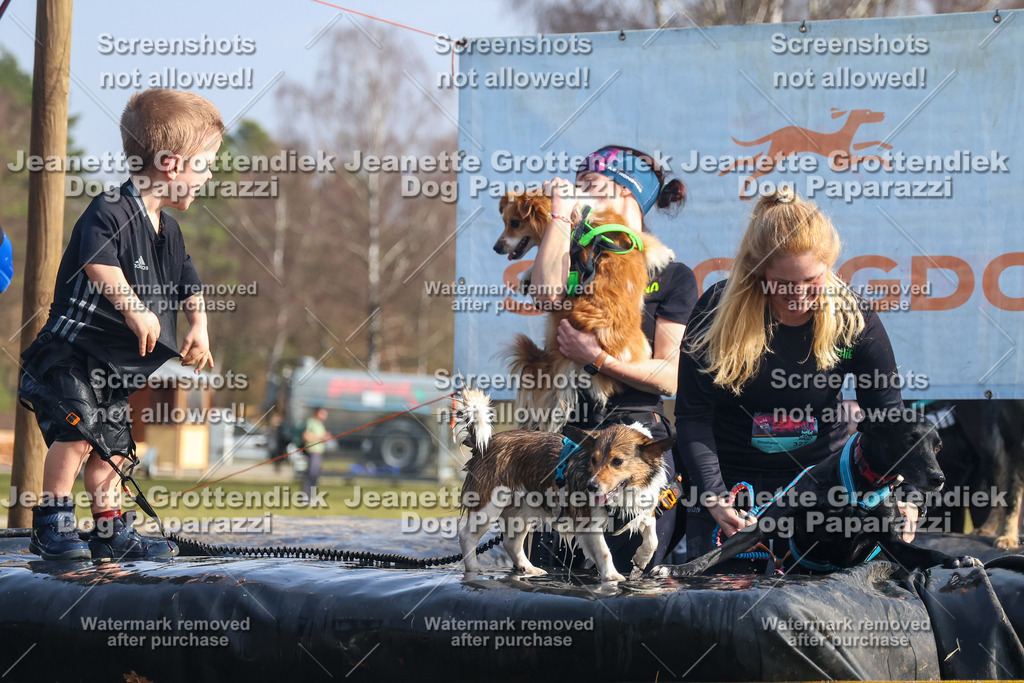 Dog Paparazzi - Strongdog North Mrz26-1873 | Dog Paparazzi Jeanette Grottendiek Fotografie & Videografie - Realisiert mit Pictrs.com