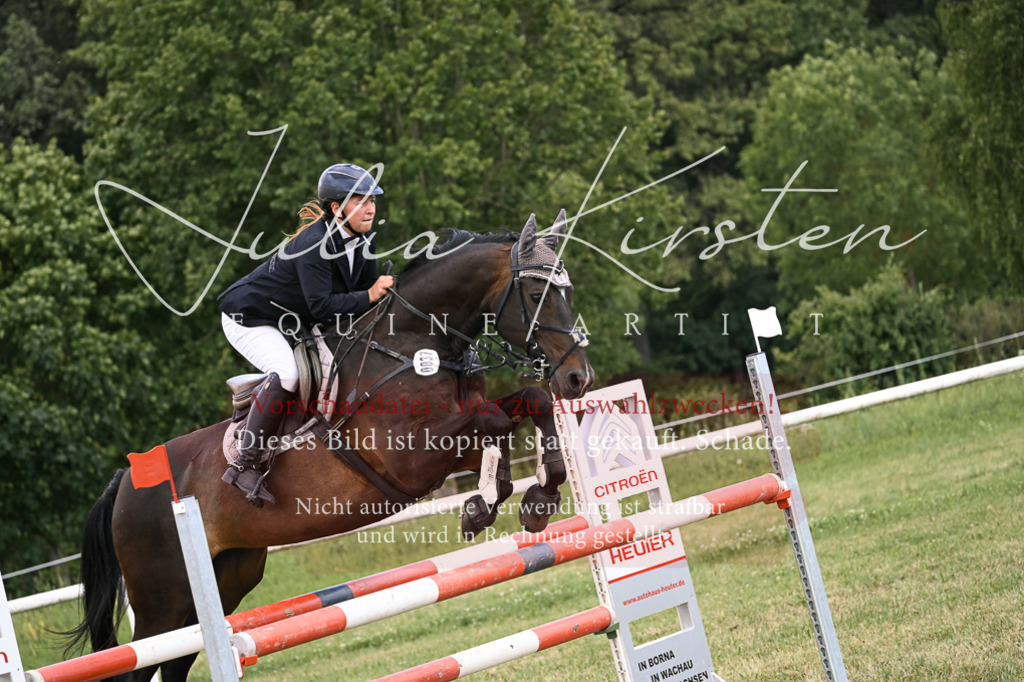 DSC_0874 | Pferde- und Turnierfotografie in Westsachsen. Pferdeportraits, Auftragszeichnungen und intuitive Kunst.