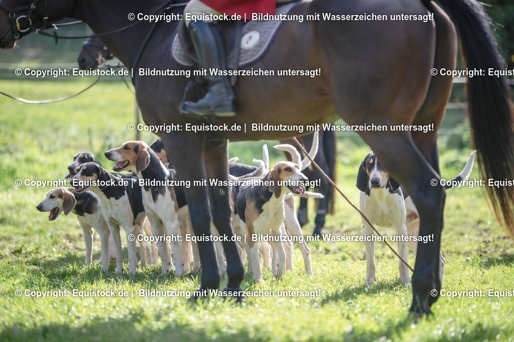 20251011_Jagd-Marbach_0146 | Foto: Thomas Hartig