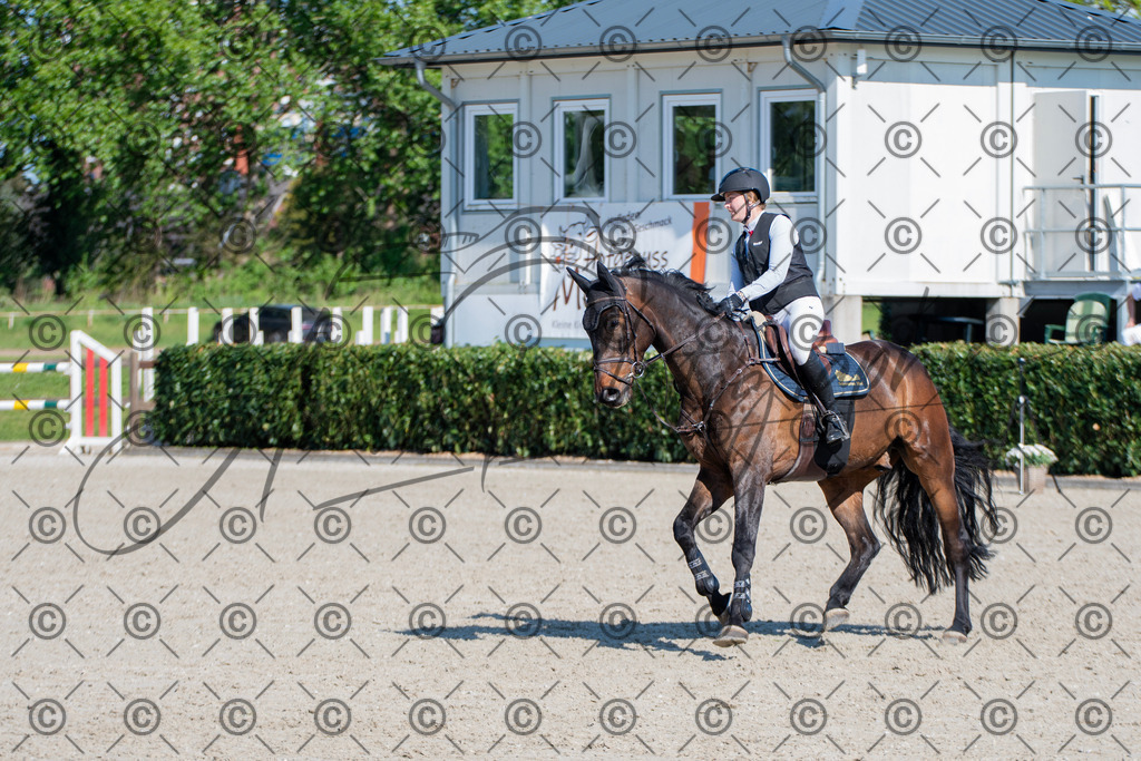 KPT_1697 | andre_photographic