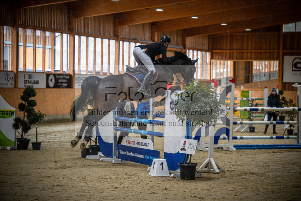 DOS_0041 | Entdecke hochwertige Reitturnierfotos von Foto Oger. Professionell, emotional und authentisch – jetzt Lieblingsmomente im Shop bestellen.Deutschlandweite Turnierfotografie. - Realisiert mit Pictrs.com