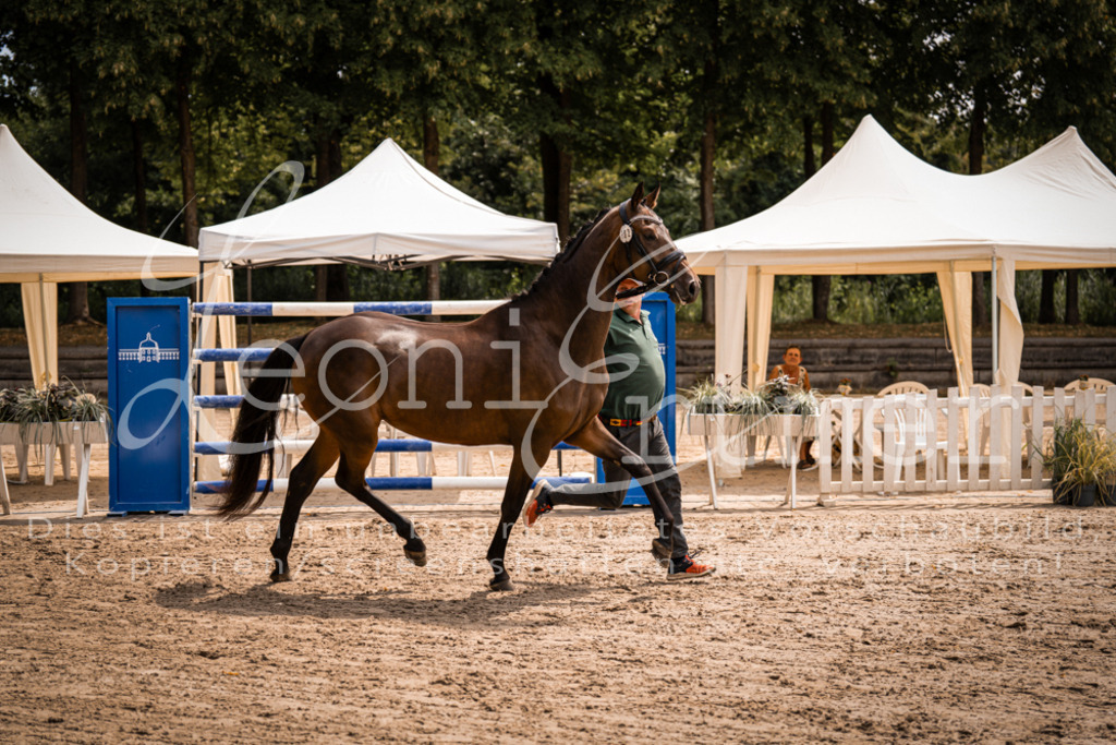 2. Fr00049 | Leoni Ertmer Photography - Realisiert mit Pictrs.com