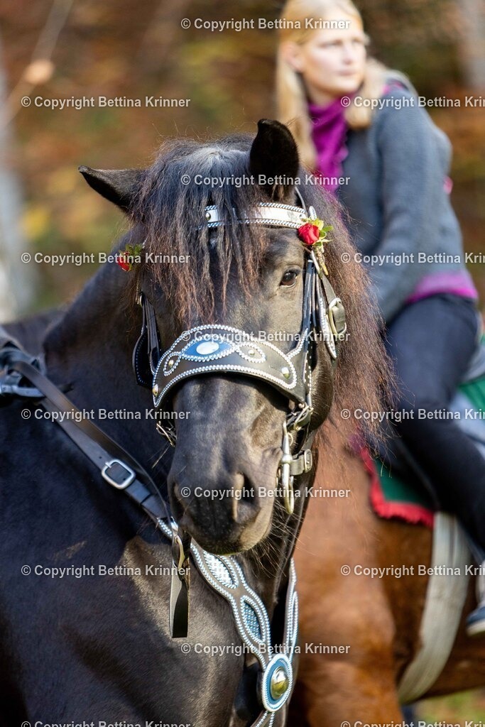 LL24-258 | foto-bettina-krinner - Realisiert mit Pictrs.com