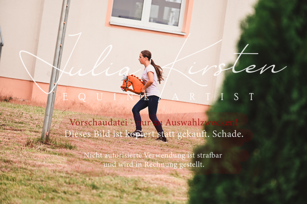 DSC_5277 | Pferde- und Turnierfotografie in Westsachsen. Pferdeportraits, Auftragszeichnungen und intuitive Kunst.